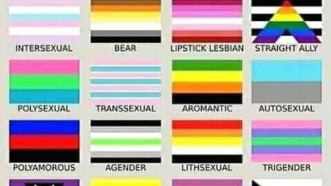 Is this joke or there is this many sexuallities and they all have flags?