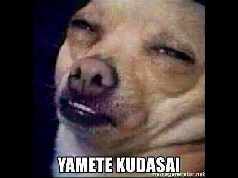 Why do people only talk about anime and manga when they talk about Japanese culture?