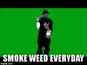 Do you smoke a lot of weed?