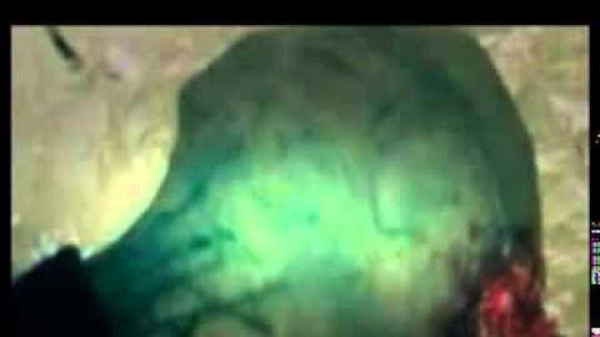 After watching this 28 and a half minute long video, how convinced are you that we have undeniable proof that demons exists like Ephesians 6:12 says?