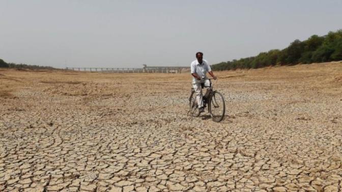 What can we do about Global Warming?