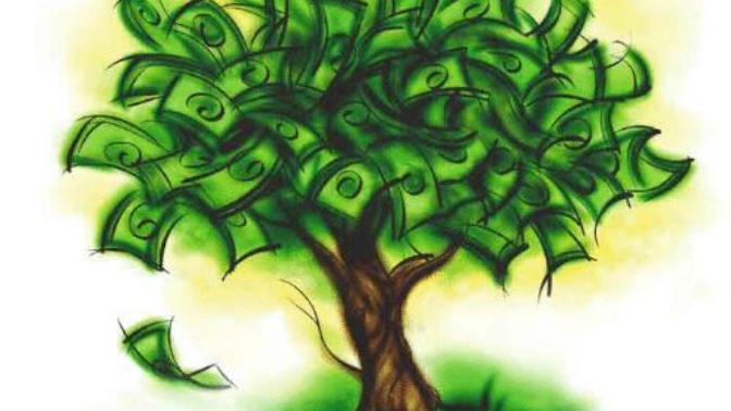 If money doesn't grow on trees, why do banks have branches?