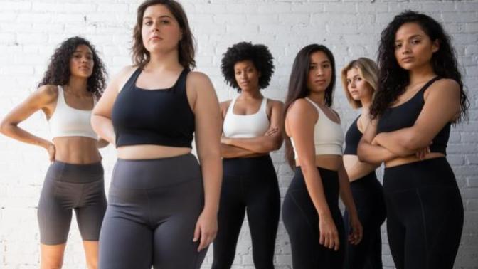 What is the difference between curvy and fat?