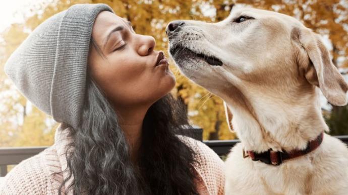 Do you have/want pets? Do they stay indoors/outdoors?