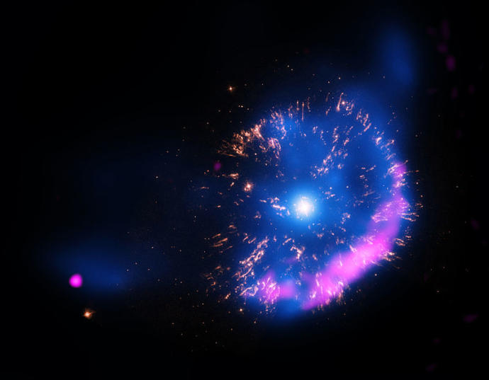 Whats your favorite kind of star?