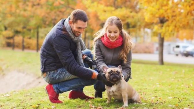 Would you date someone that owns a dog if you don't?