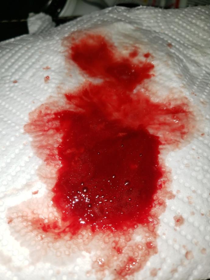 Do you want to take a hike through the White Rock Canyon to the Arizona Hot Springs?