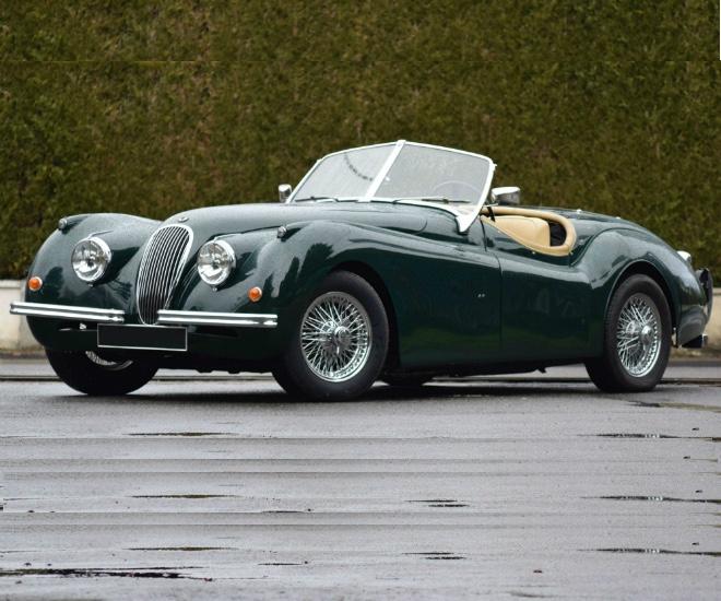 Which of these jaguars would you choose?
