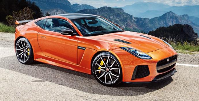 Which of these jaguars would you choose?