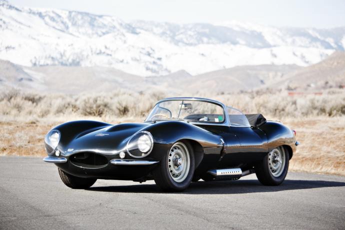 Which of these jaguars would you choose?