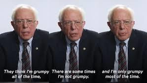 Sanders or Warren?