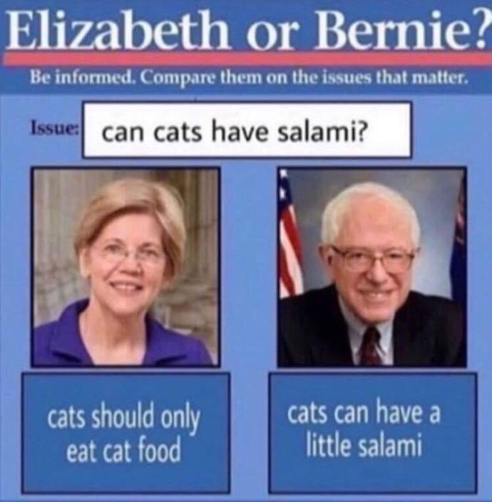 Sanders or Warren?