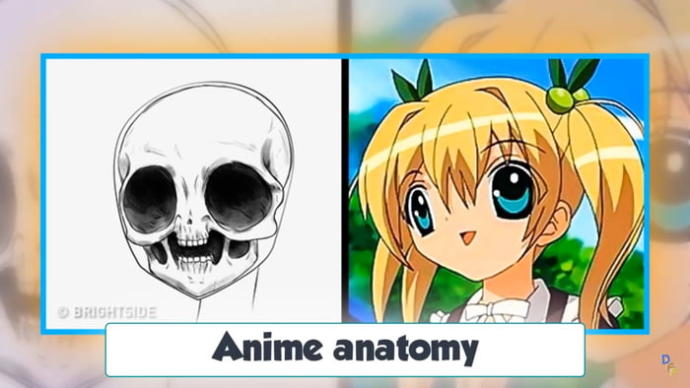 Why is American animation so ugly and Japanese animation so beautiful?
