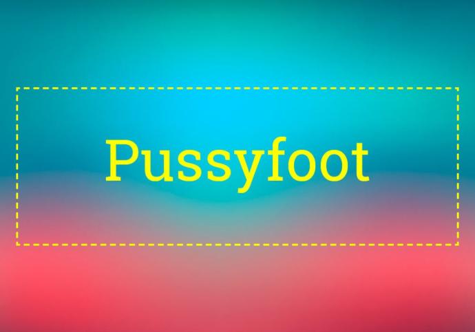 Whats a funny word you like saying?