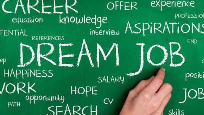 Which career is the best option?