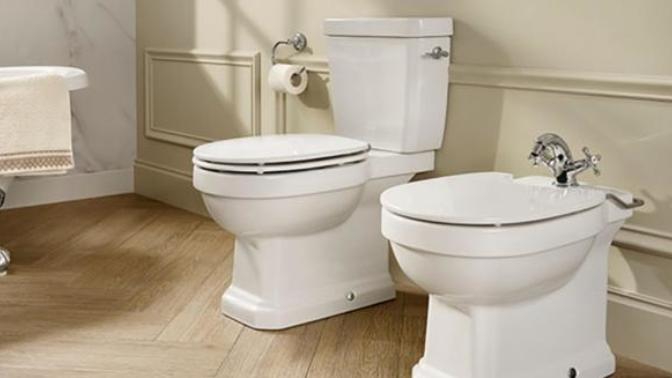 If u see a toilet in your dream, do not use it?