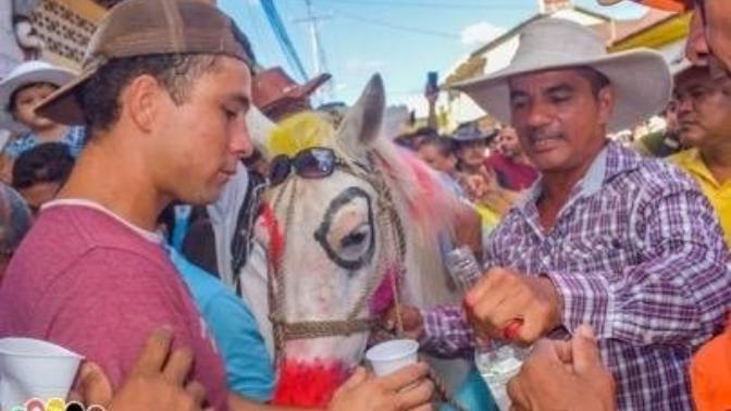 Do you consider this to be animal cruelty?