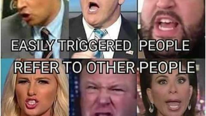 Why do the Right-Wingers here get so butthurt about every little question they don't like?