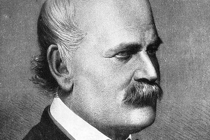 How do you feel about what happened to Ignaz Semmelweis (see description)?