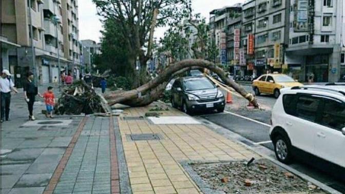 God's miracle or coincidence?