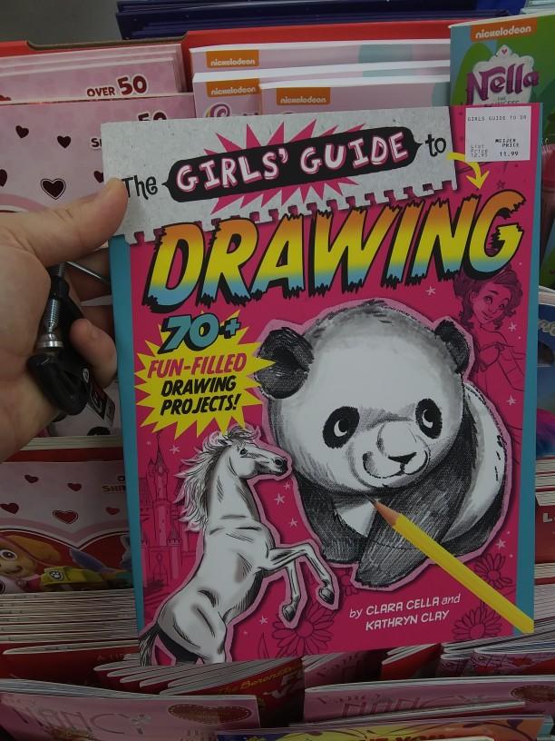 What do you think of a girls guide to drawing?