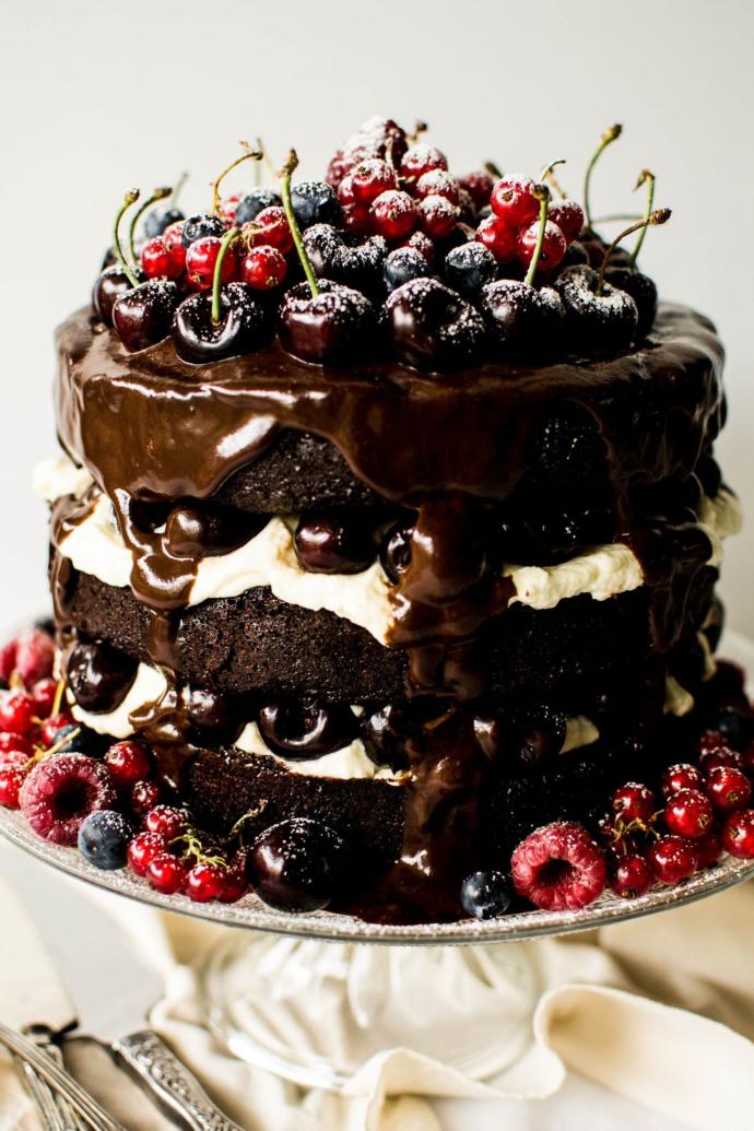 OMG!! Did you know that today was NATIONAL CHOCOLATE CAKE DAY? ... IM NOT KIDDING?