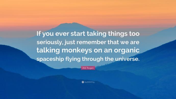 Do you wonder why youre born, what the meaning of life is?