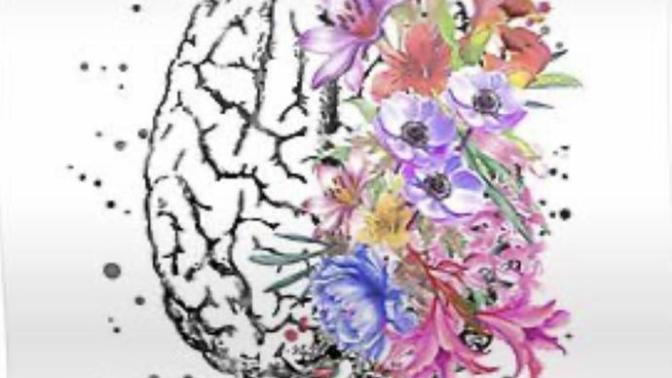 Let’s talk about your brain?