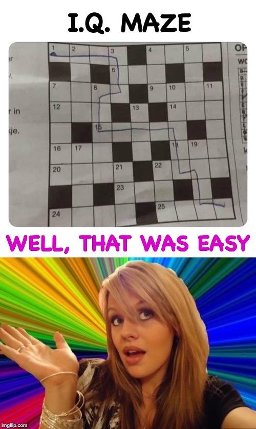 Have you ever wondered what the IQ of a blonde was?