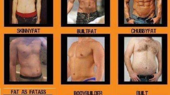Girls, Which one of these body types do you consider to be a dad bod?