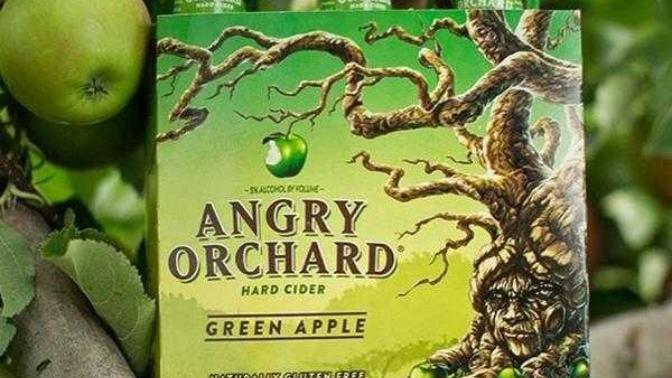 Does anyone else prefer HARD CIDER over BEER?