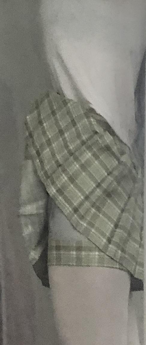 KlEEP or RETURN green plaid skirt?