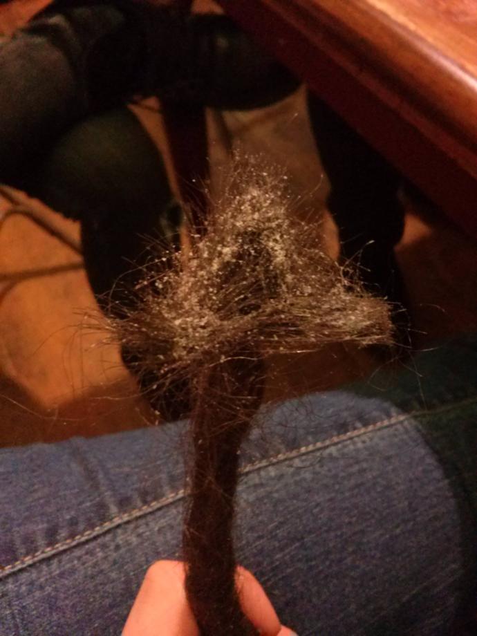 Can white people wear dreadlocks?