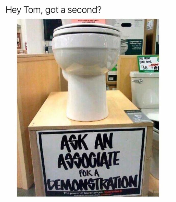 Would you ask a Home Depot Associate for a demonstration of a toilet?