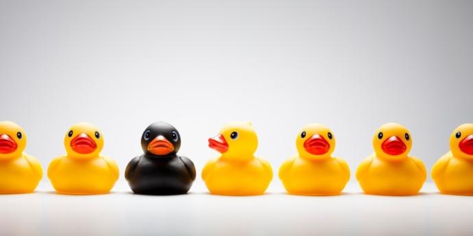 🐤🐤🐤🐤🐤🐤🐦🐤🐤🐤🐤🐤🐤🐤🐤🐤🐤