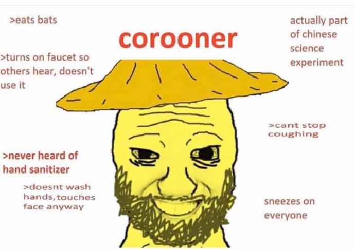 Do you think it's ok to spread racist meme over coronavirus panic?