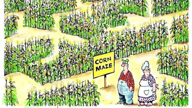 What do you make of this inordinate delay in the results for the Iowa Democratic Caucus?