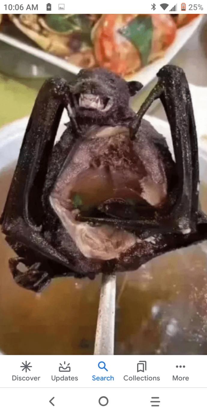 Would you Eat Bat Soup Rat and Snake Meat?