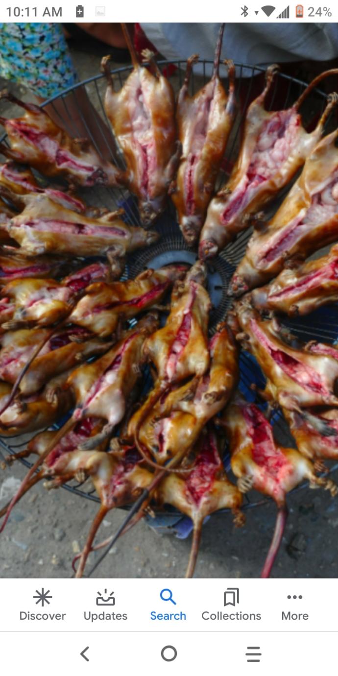 Would you Eat Bat Soup Rat and Snake Meat?