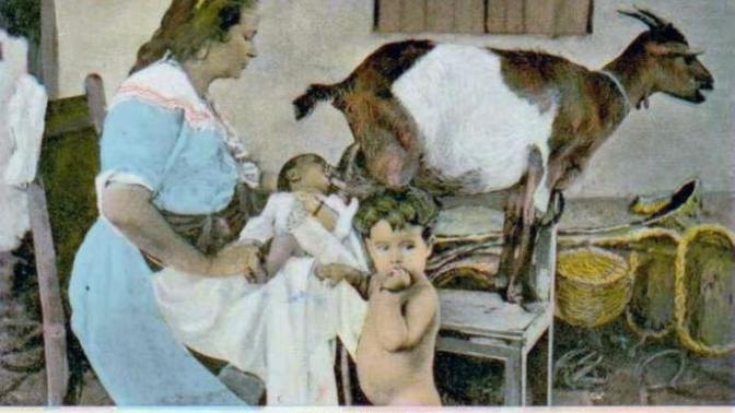 Were you suckled by a nanny goat as a baby?