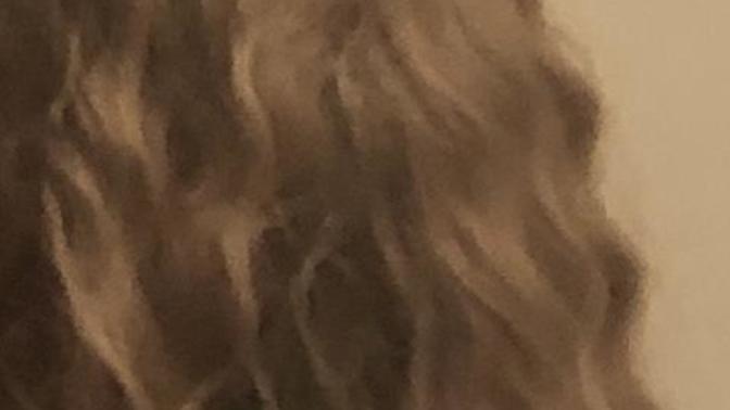 “Honey blond curly” Sorry- lighting is really bad. I’ll try again tomorrow. I wanted to post tonight Bc I just sorted it out first time ever🤷‍♀️🙂?
