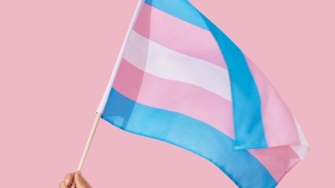 What if your childs teacher whas trans?