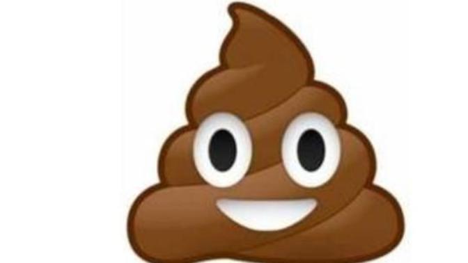 How many times a day do you poop?