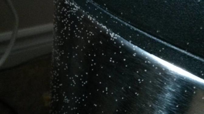 Do you have flour mites?