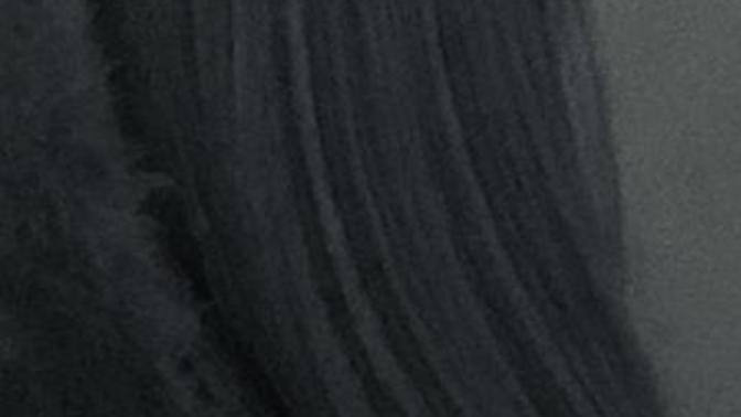 I have dark root ombré Silver grey wig now. I’m going to upgrade to a more realistic cap and softer hair.. Which color from below, should I choose?
