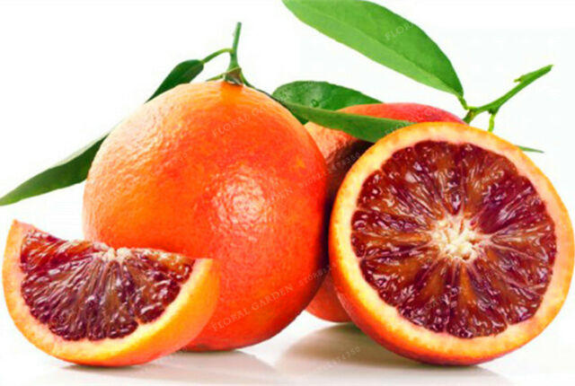 EXotic Foods Part 1: Choose your favorite citrus fruit from this list?