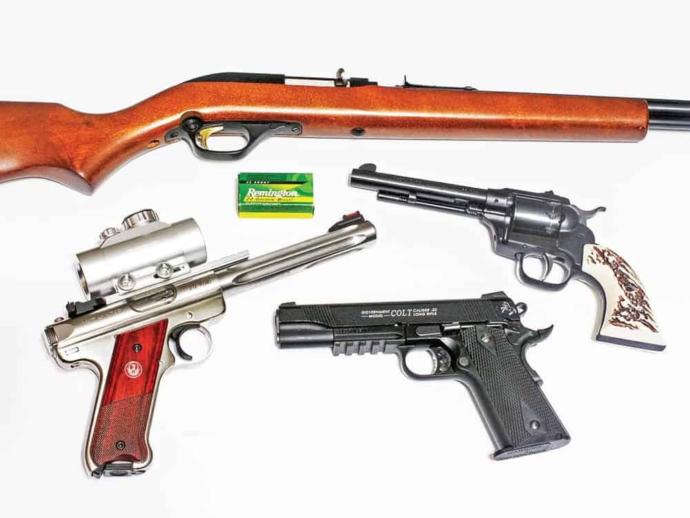 22LR Toy or tool?