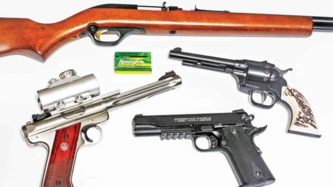 22LR Toy or tool?