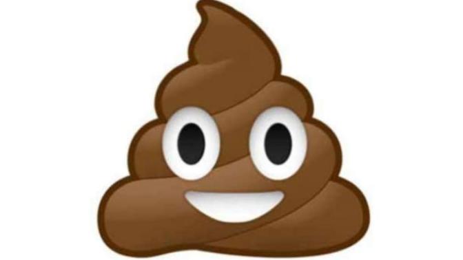 Do you get irritated when you have to poop?
