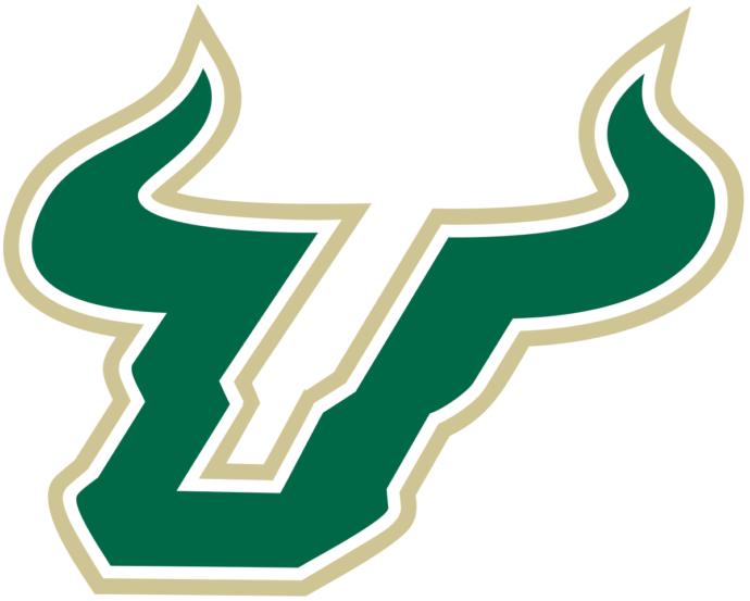 Which sports team logo who plays in Tampa or has Tampa Bay in their name looks the best?